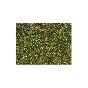 Strelse - Sommerblomstring