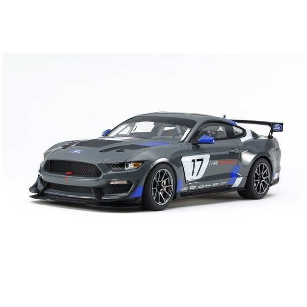 1/24 - Ford Mustang GT4