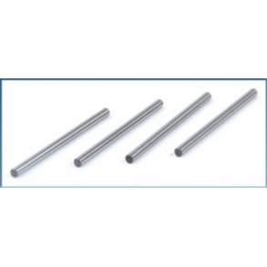 Hinge Pins - S8 Rebel